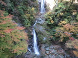 img0006.jpg