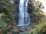 img0007.jpg