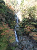 img0010.jpg