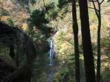 img0016.jpg