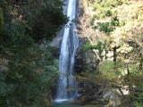 img0017.jpg