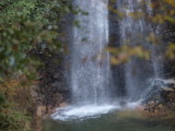 img0018.jpg