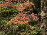 img0027.jpg