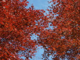 img0031.jpg