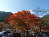 img0044.jpg