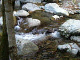 img0047.jpg