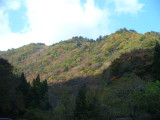 img0049.jpg