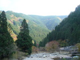 img0051.jpg