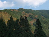 img0054.jpg