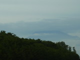 img0015.jpg