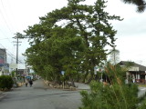 img0018.jpg