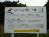 img0020.jpg