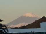 img0041.jpg