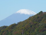 img0049.jpg