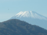 img0084.jpg
