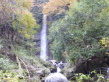 img0001.jpg