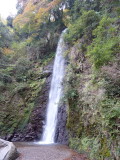img0008.jpg