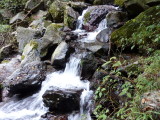 img0009.jpg