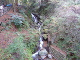 img0010.jpg