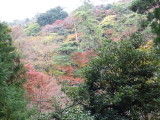 img0020.jpg