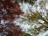 img0023.jpg