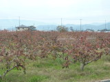 img0047.jpg