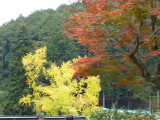 img0068.jpg