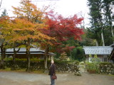 img0081.jpg