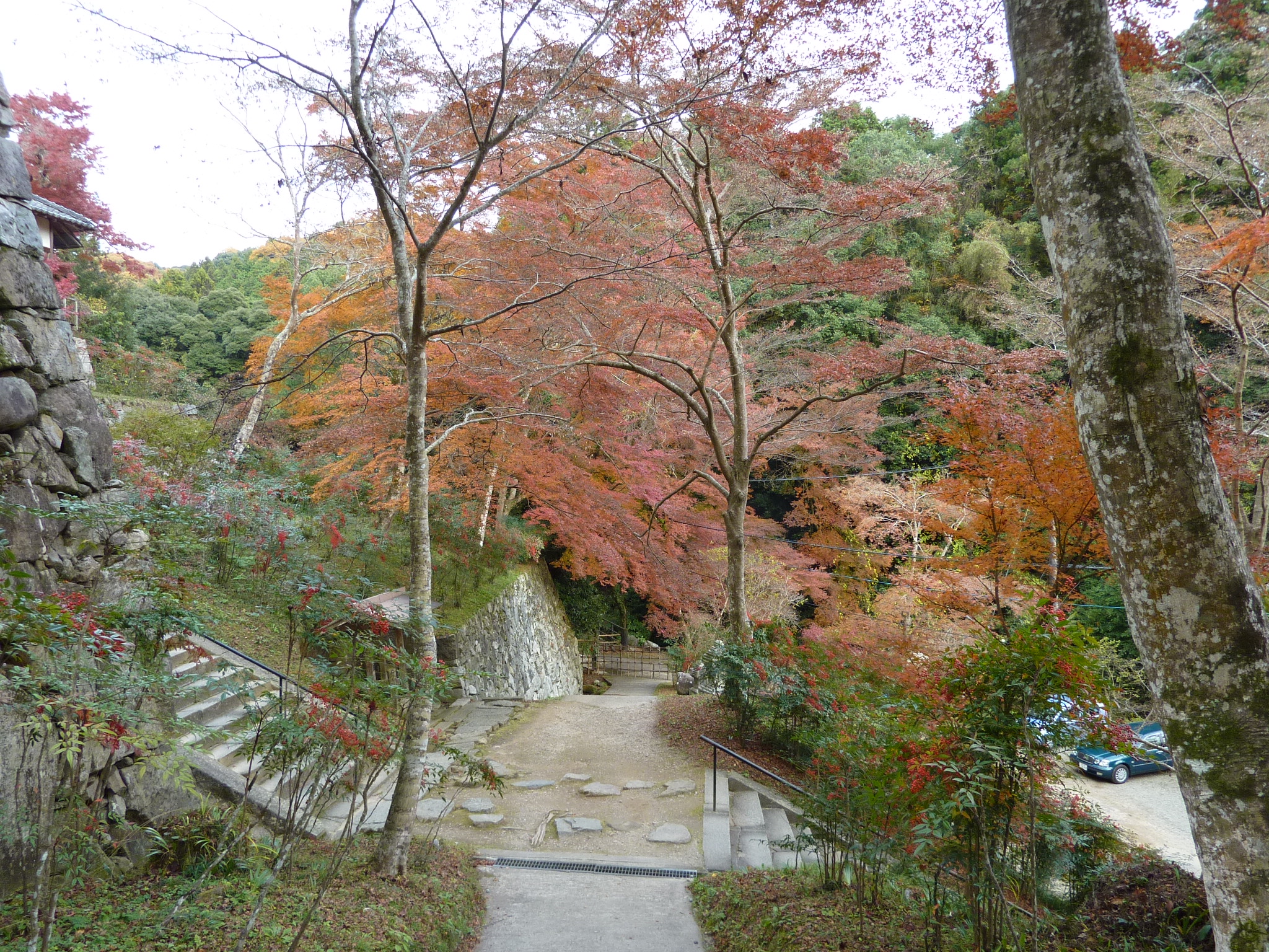P1000304.JPG
