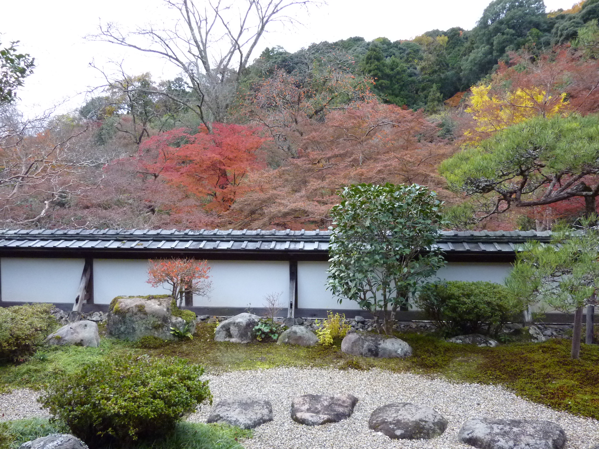 P1000308.JPG
