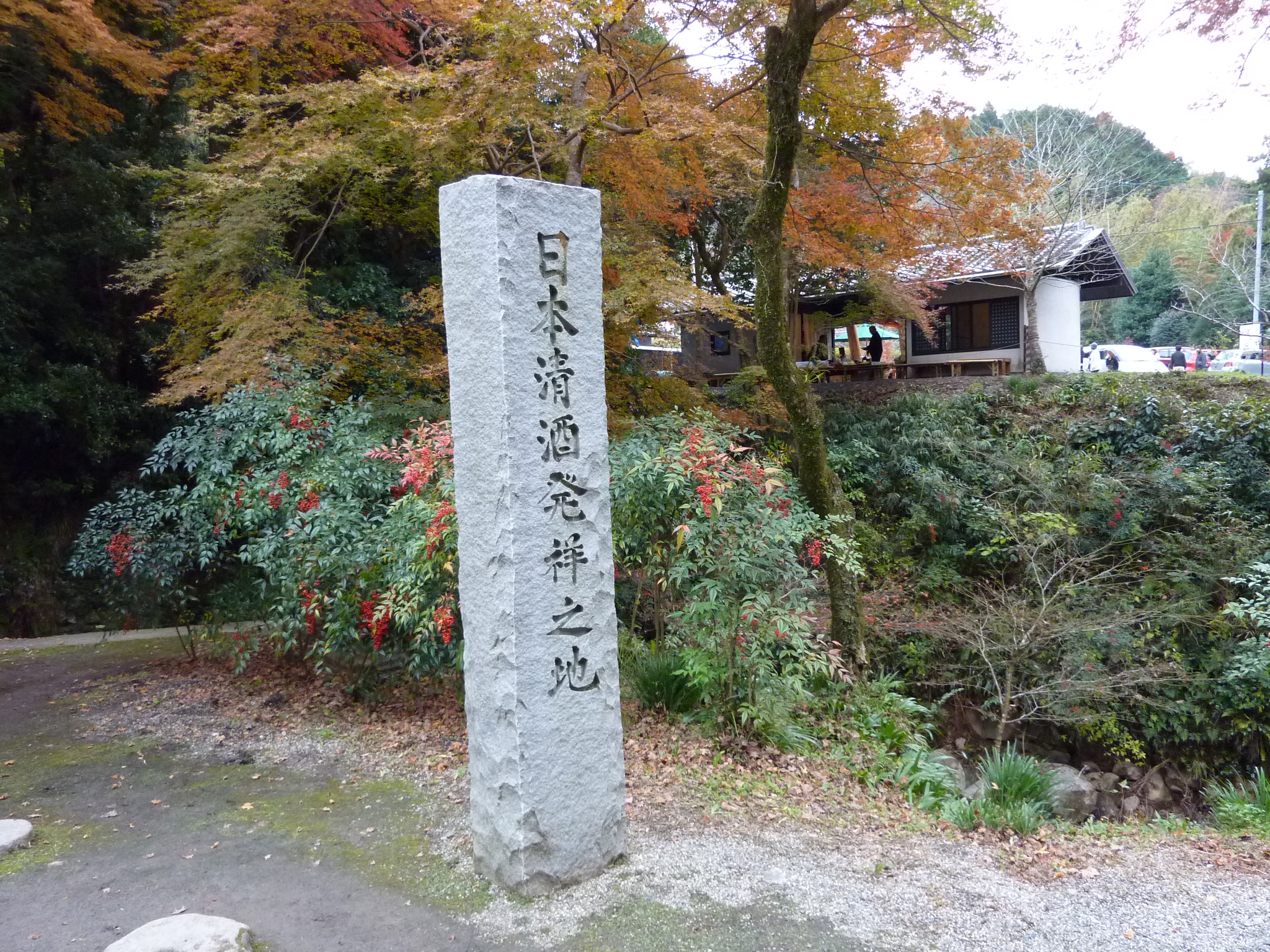 P1000317.JPG