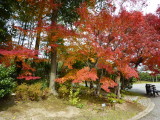 img0005.jpg