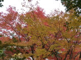 img0008.jpg