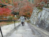 img0031.jpg