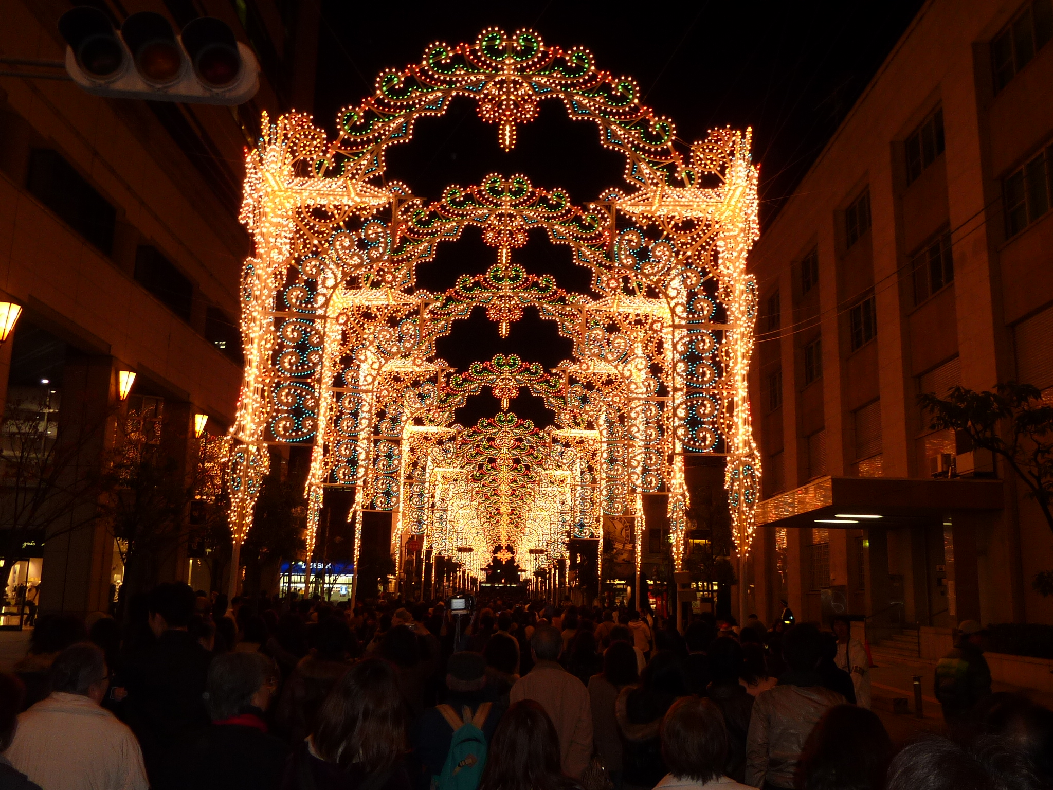 P1000327.JPG