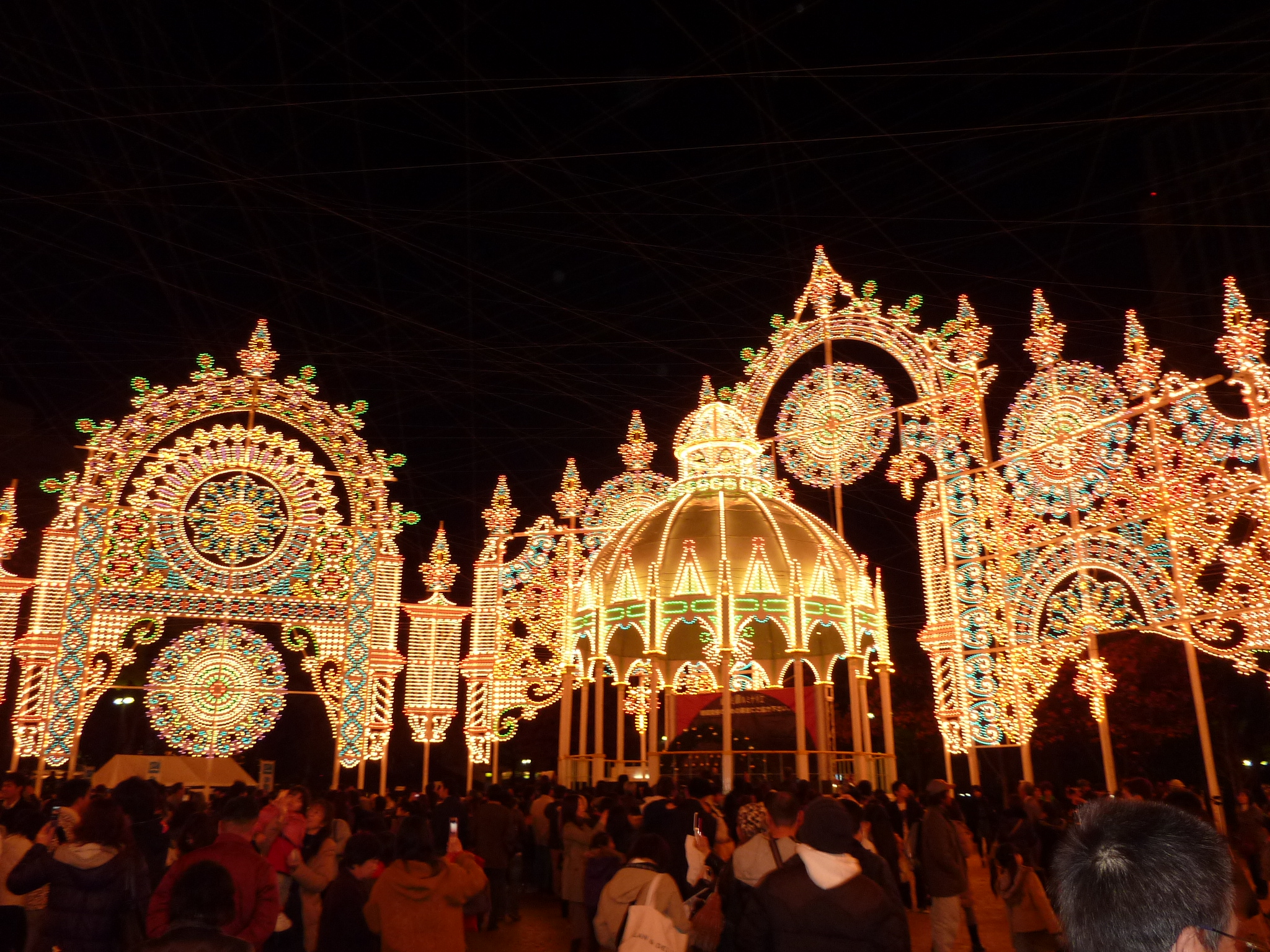 P1000339.JPG