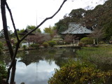 img0019.jpg