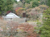img0029.jpg