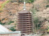 img0031.jpg