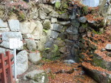 img0040.jpg