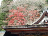 img0066.jpg