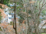 img0071.jpg
