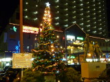 img0016.jpg