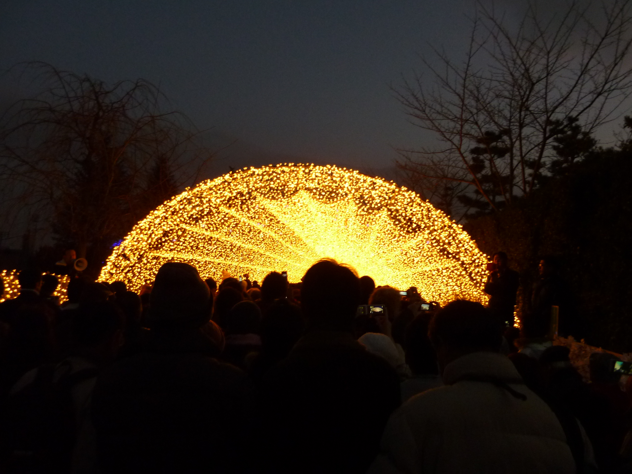 P1000615.JPG