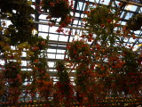 img0010.jpg
