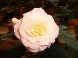 img0014.jpg