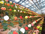 img0015.jpg