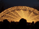 img0044.jpg