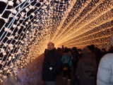 img0051.jpg