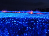 img0055.jpg